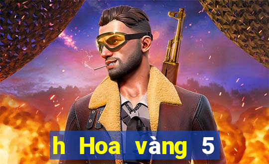 h Hoa vàng 5 lông chiên