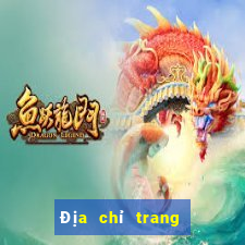 Địa chỉ trang web Marina