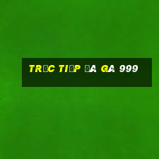 trực tiếp đá gà 999