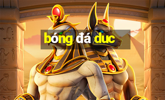 bóng đá duc