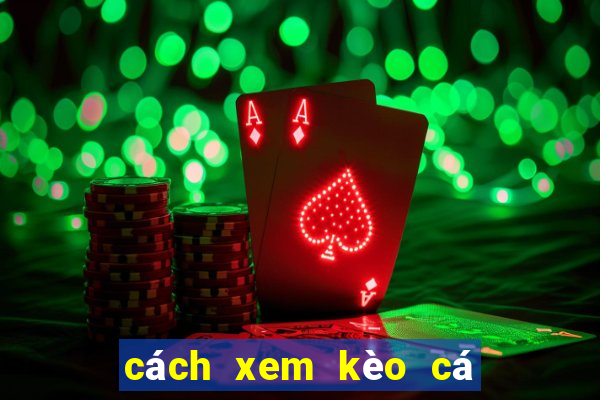 cách xem kèo cá độ bóng đá