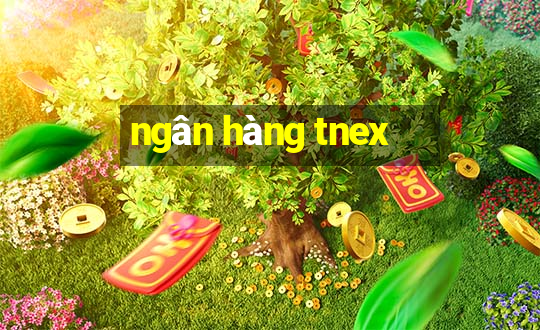 ngân hàng tnex