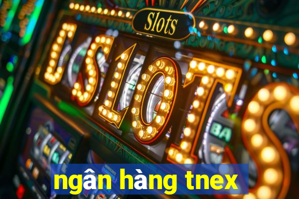 ngân hàng tnex