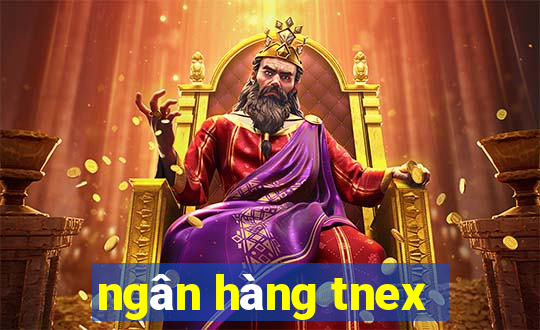 ngân hàng tnex