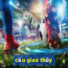 cầu giao thủy