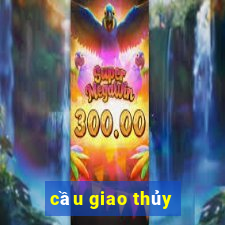 cầu giao thủy