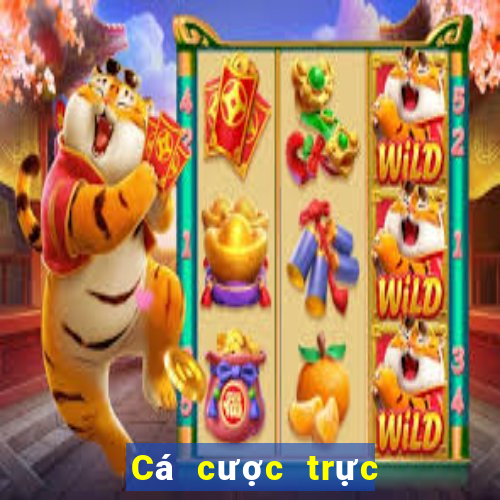 Cá cược trực tuyến 888bet