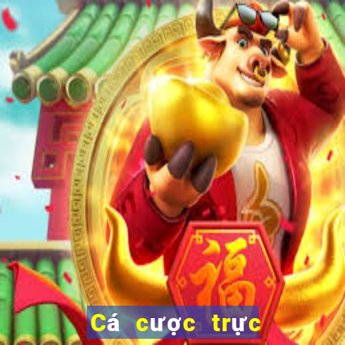 Cá cược trực tuyến 888bet