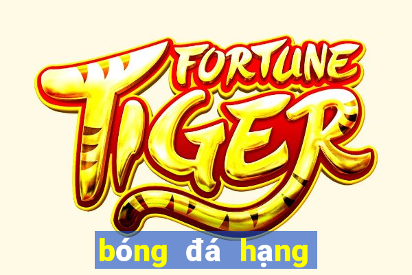 bóng đá hạng 2 ý