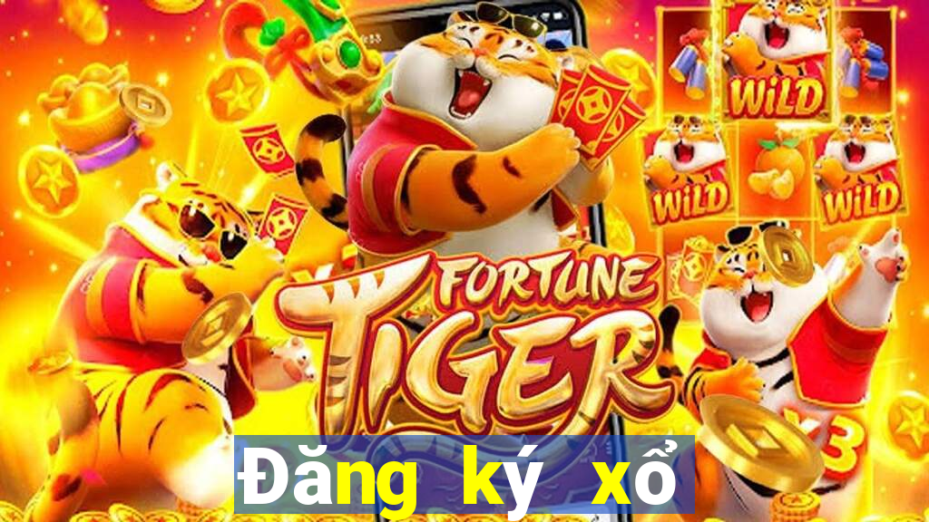 Đăng ký xổ số 13 xổ số