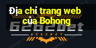 Địa chỉ trang web của Bohong