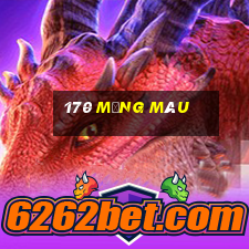 170 mạng màu