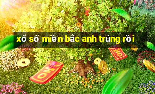 xổ số miền bắc anh trúng rồi