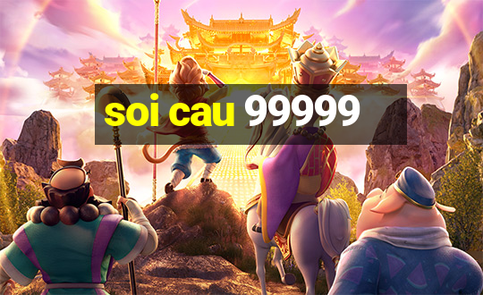 soi cau 99999