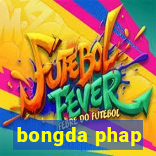 bongda phap