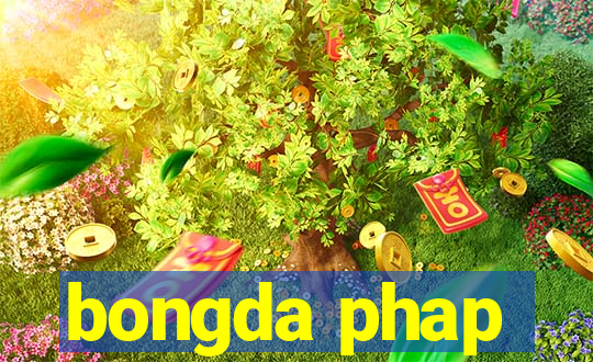 bongda phap