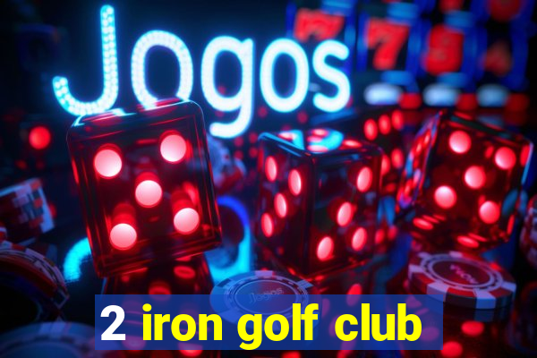 2 iron golf club