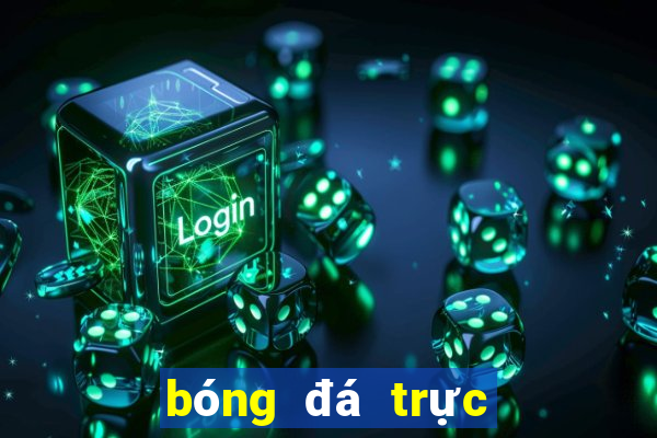 bóng đá trực tiếp xôi lạc 2