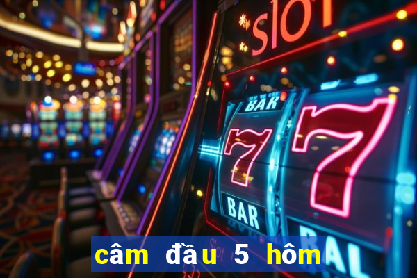 câm đầu 5 hôm sau đánh con gì