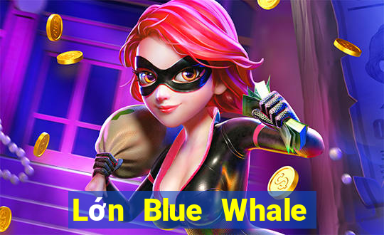 Lớn Blue Whale Giải trí