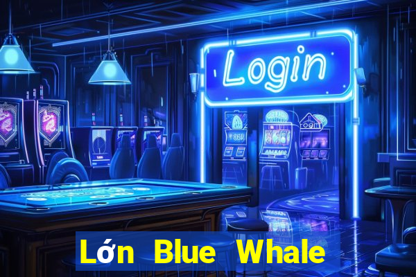 Lớn Blue Whale Giải trí