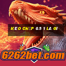 kèo chấp 0.5 1 là gì