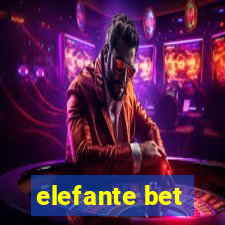 elefante bet