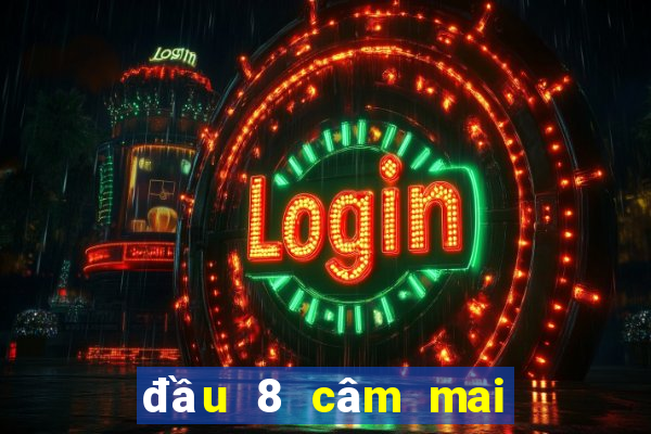 đầu 8 câm mai đánh lô gì