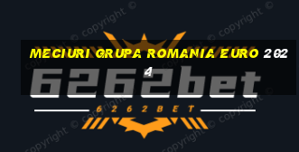 meciuri grupa romania euro 2024