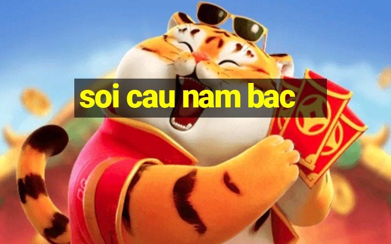 soi cau nam bac