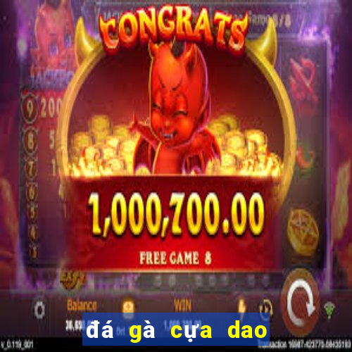 đá gà cựa dao trực tiếp casino