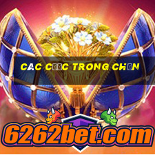 các cước trong chắn