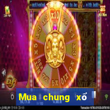 Mua chung xổ số miền bắc