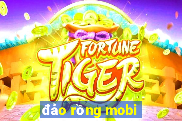 đảo rồng mobi