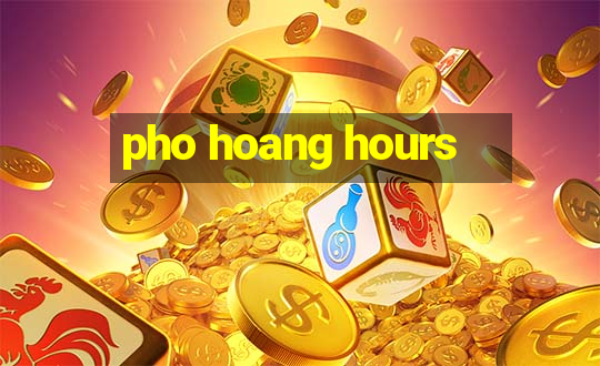 pho hoang hours