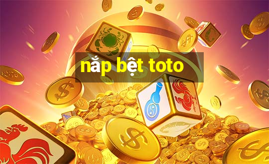 nắp bệt toto