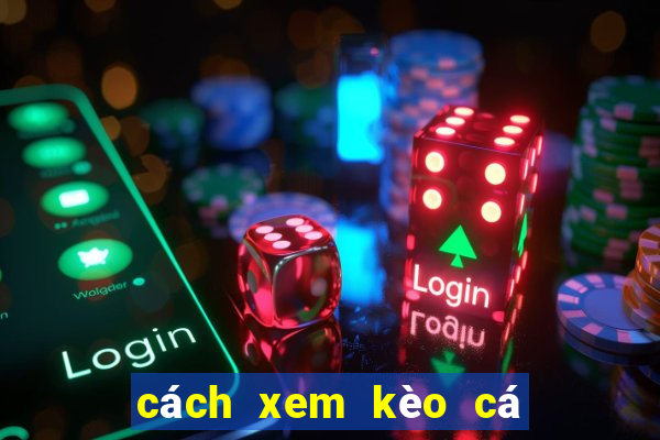 cách xem kèo cá cược bóng đá trên mạng