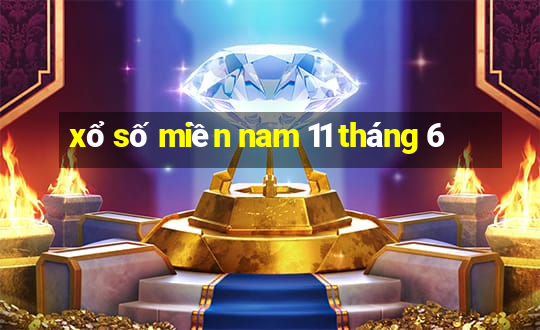 xổ số miền nam 11 tháng 6