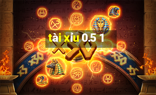 tài xỉu 0.5 1