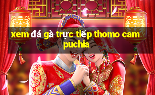 xem đá gà trực tiếp thomo campuchia