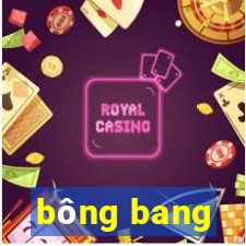 bông bang