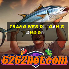 trang web dự đoán bóng rổ