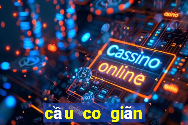 cầu co giãn hoàn toàn