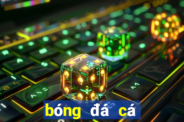 bóng đá cá cược bóng đá