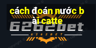 cách đoán nước bài catte