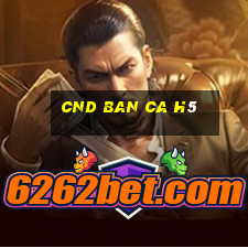 cnd ban ca h5