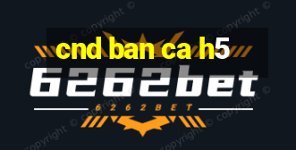 cnd ban ca h5