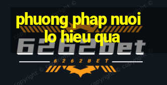 phuong phap nuoi lo hieu qua