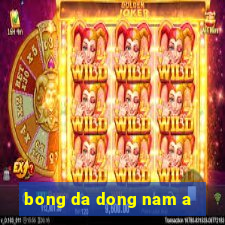 bong da dong nam a