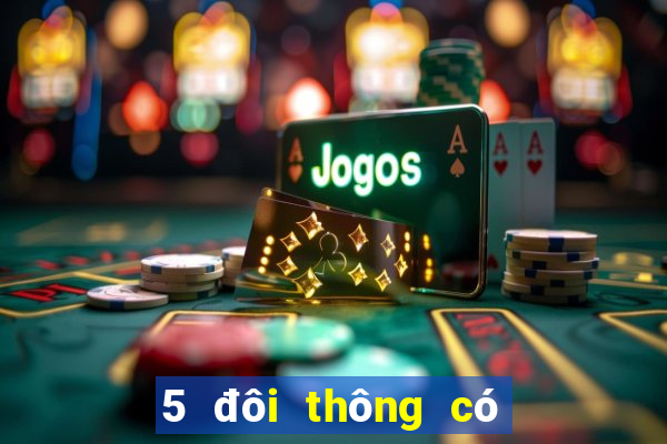 5 đôi thông có tới trắng không